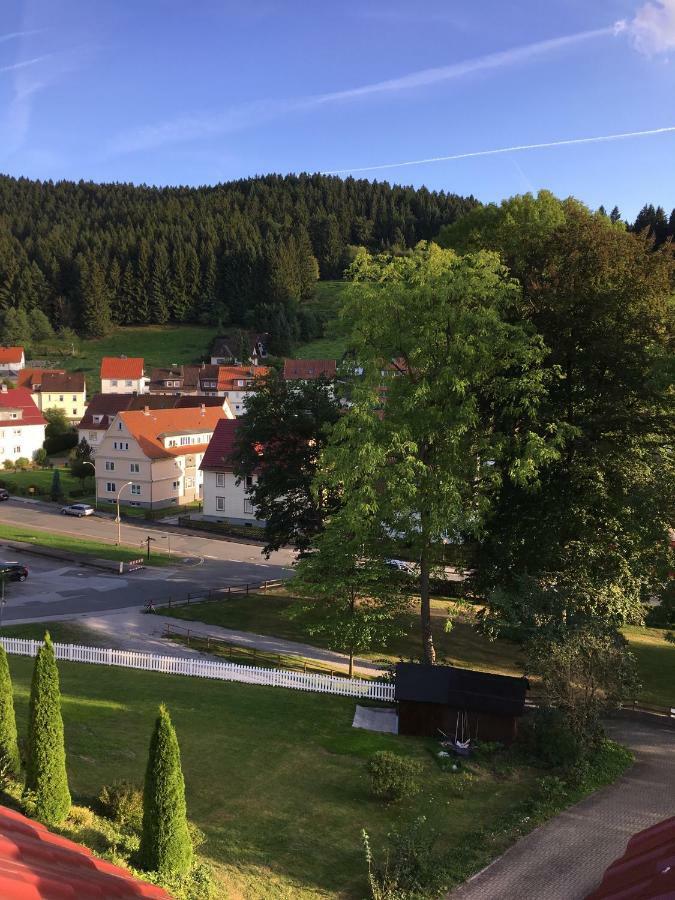 Villa Pusteblume Bad Grund Kültér fotó