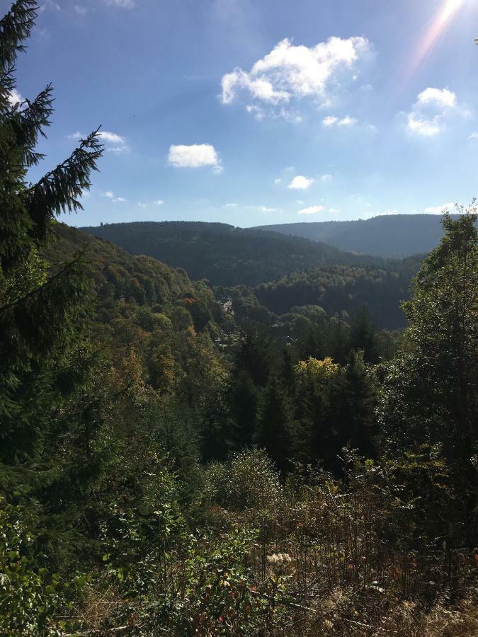 Villa Pusteblume Bad Grund Kültér fotó