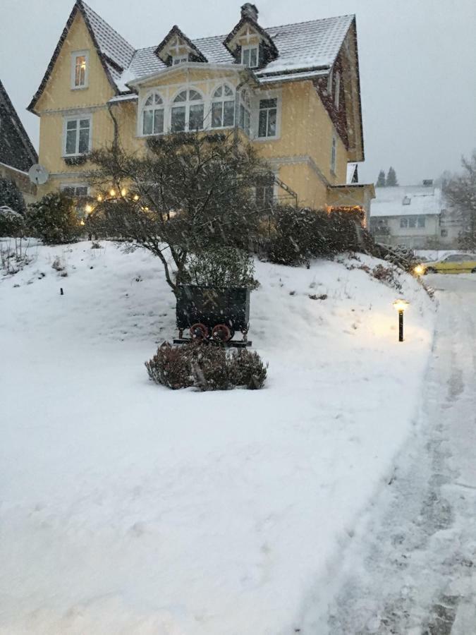 Villa Pusteblume Bad Grund Kültér fotó