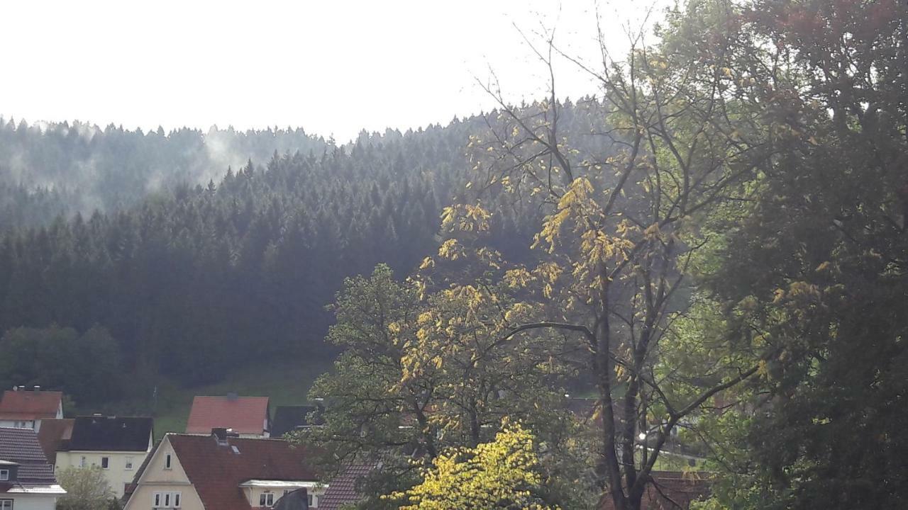 Villa Pusteblume Bad Grund Kültér fotó