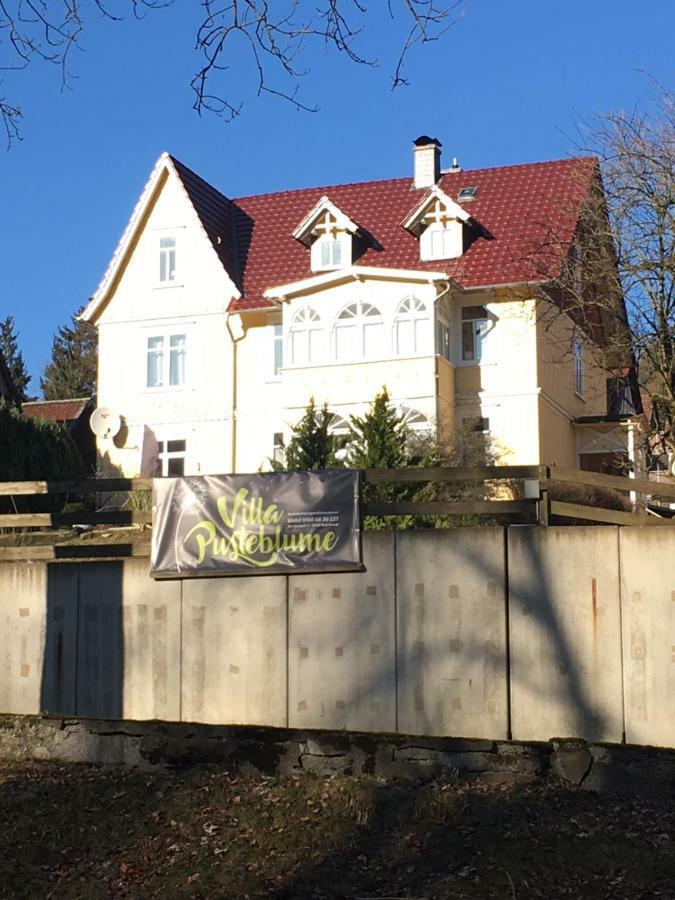 Villa Pusteblume Bad Grund Kültér fotó