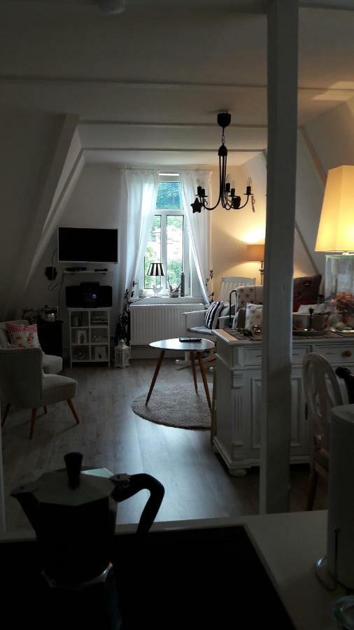Villa Pusteblume Bad Grund Kültér fotó